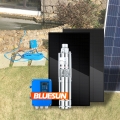 Bluesun 1500W 2HP 3HP Solar Water pump 48V deep well DC solar pump system for agriculture