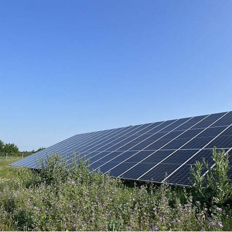 BLUESUN 200KW Solar System In BULGARIA