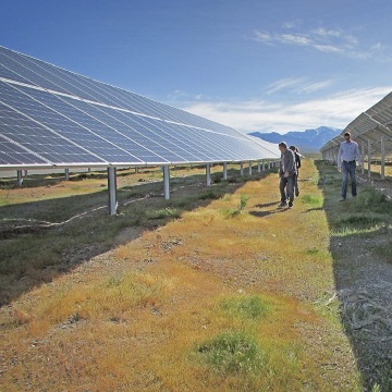 A desert solar farm can actually improve desert tortoise habitat