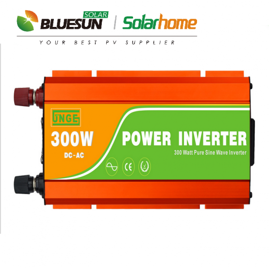 Bluesun pure sine wave 300w inverter off grid 0.3kw inverter-Bluesun